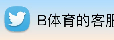 B体育的客服联系方式 logo